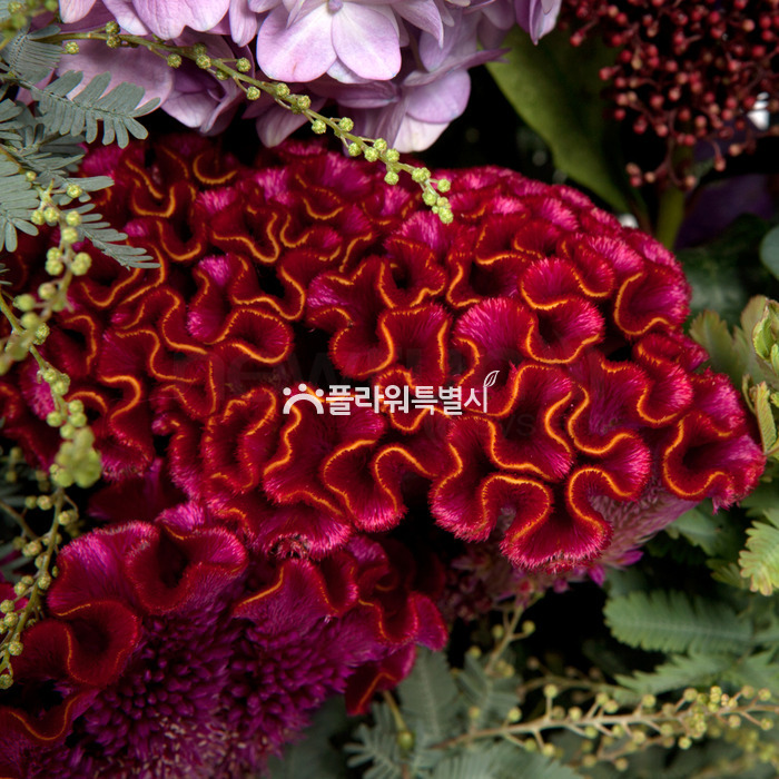 상세이미지