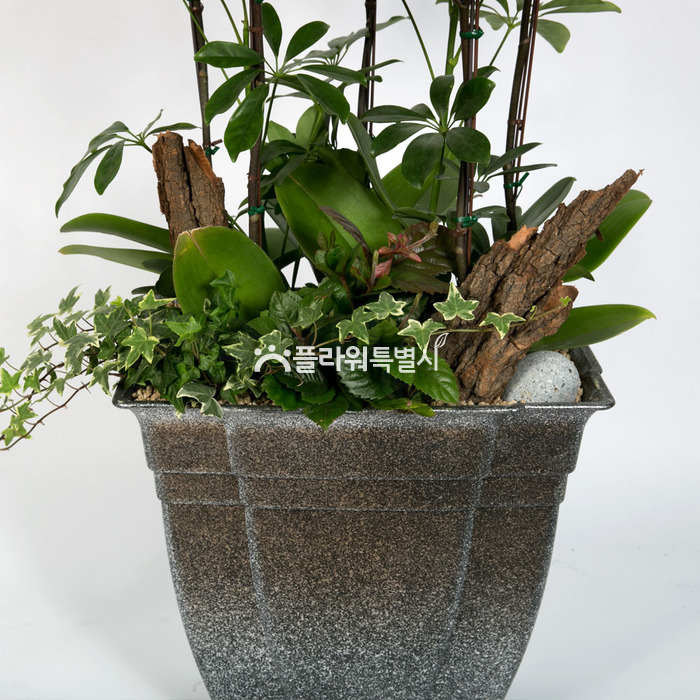 상세이미지