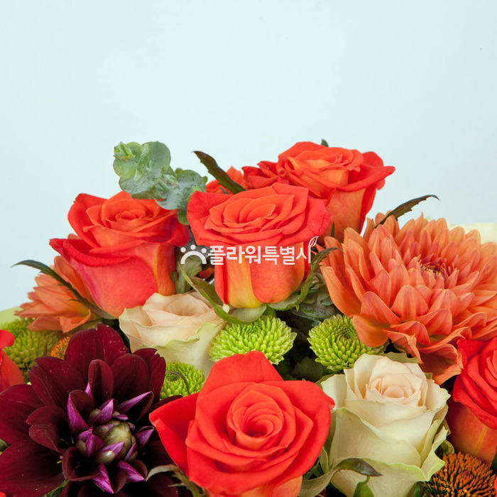 상세이미지