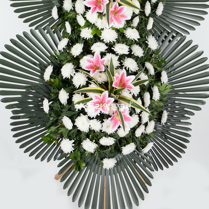 상세이미지