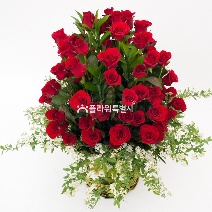 상세이미지