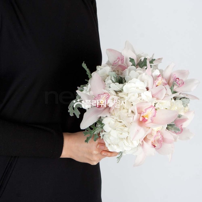 상세이미지