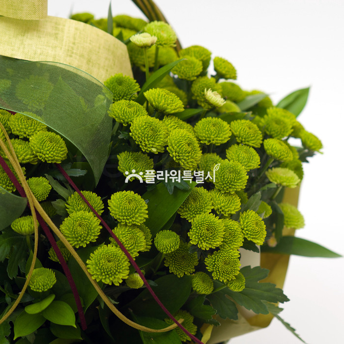 상세이미지