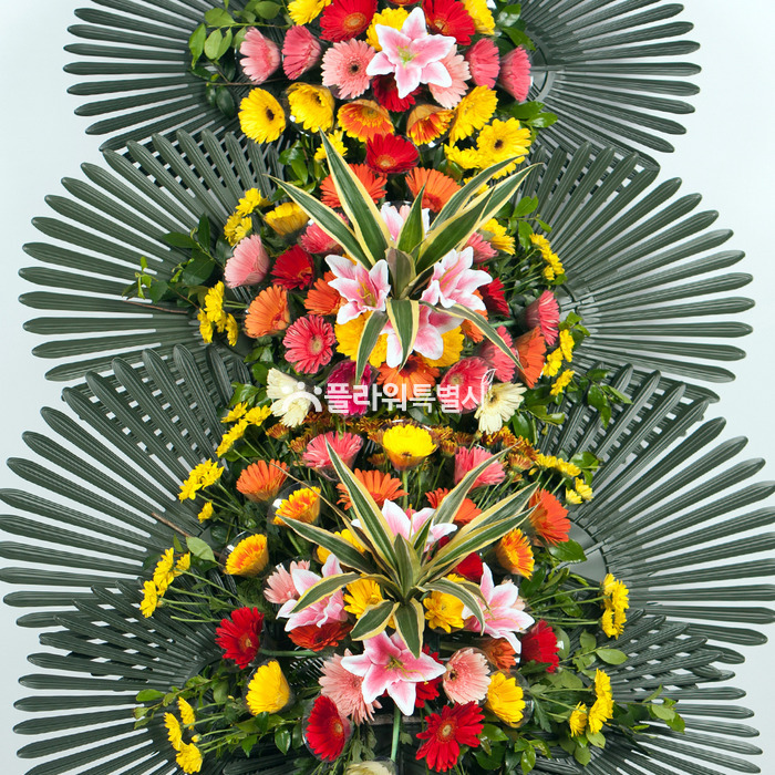 상세이미지