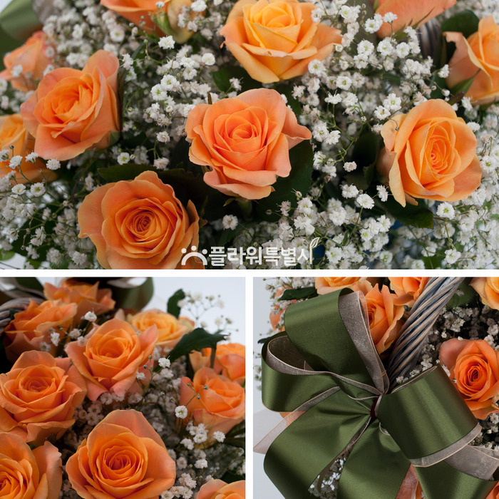 상세이미지