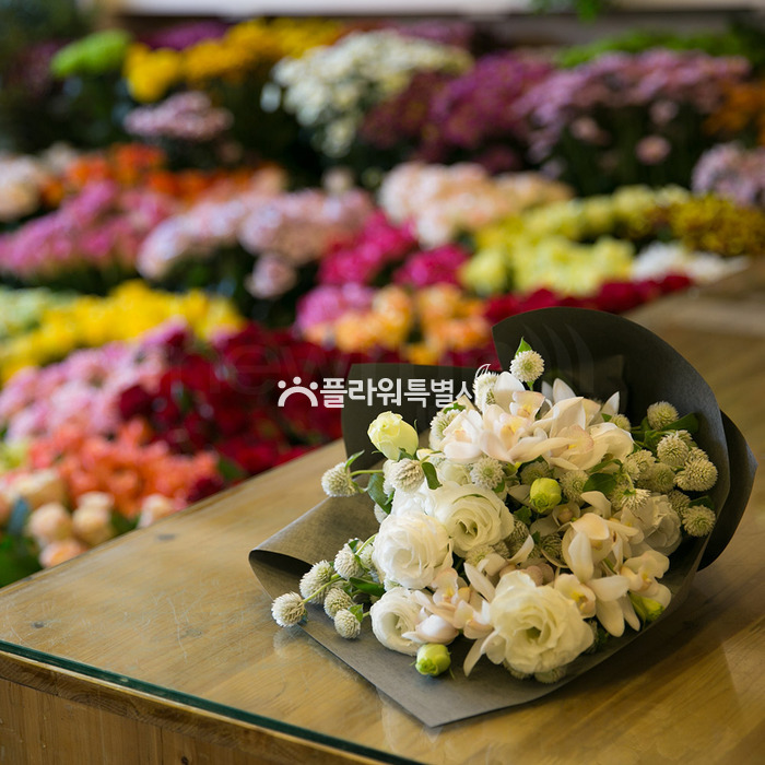 상세이미지