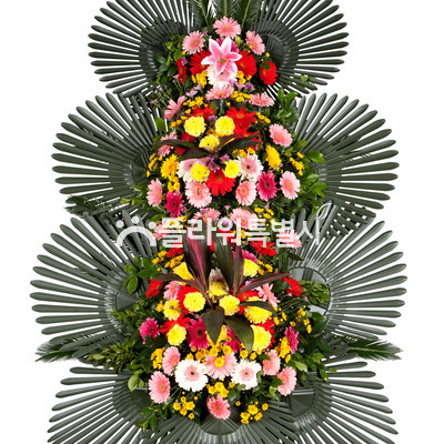 축하3단화환G