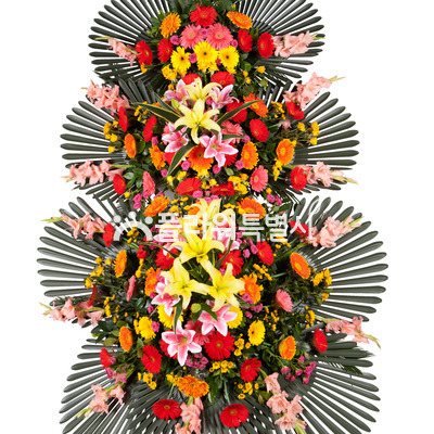 축하화환3단(특)B