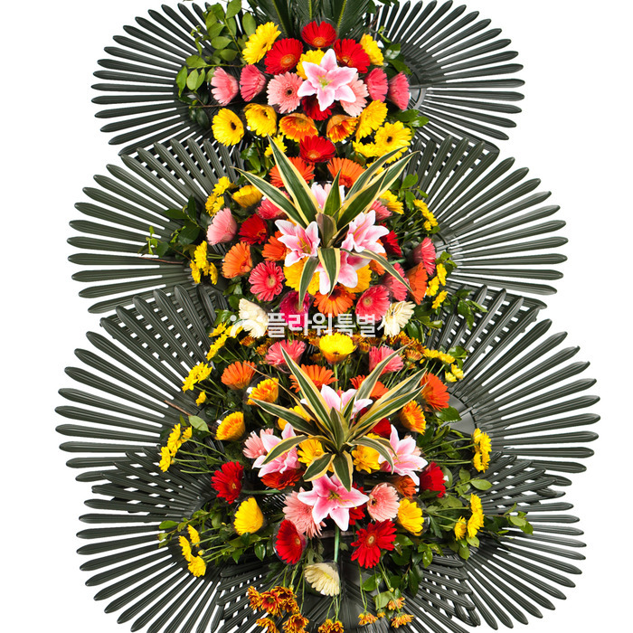 상세이미지
