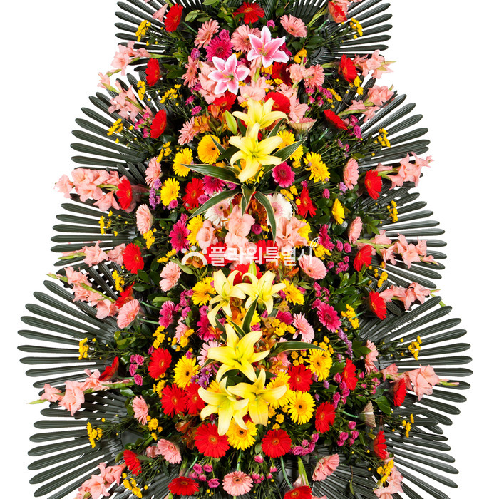 상세이미지