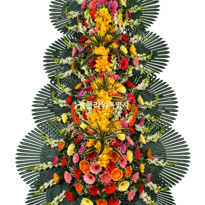 상세이미지