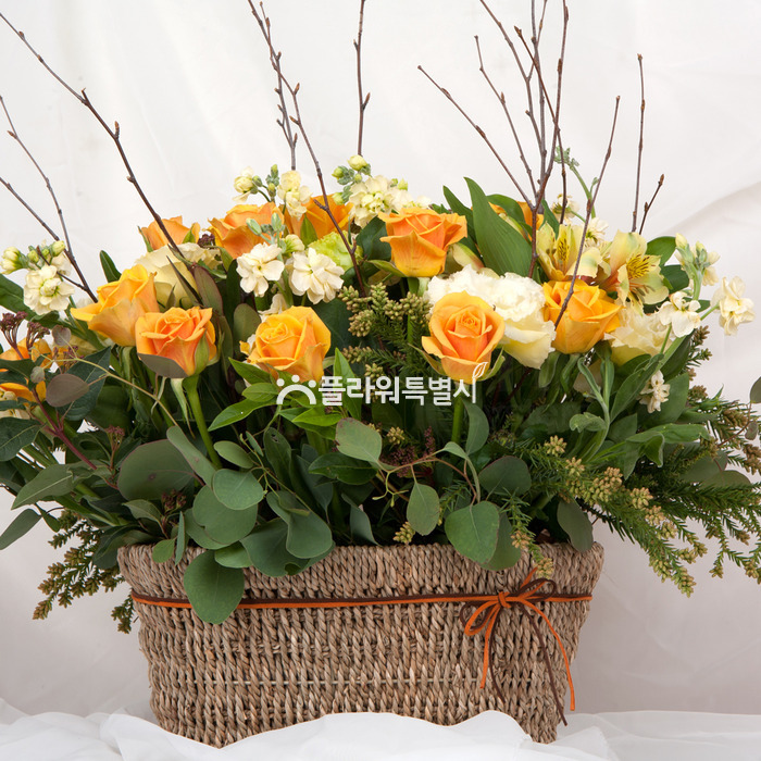 상세이미지