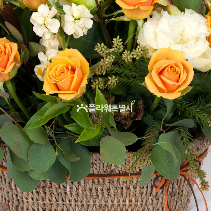 상세이미지