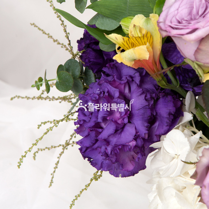 상세이미지