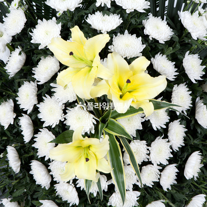 상세이미지