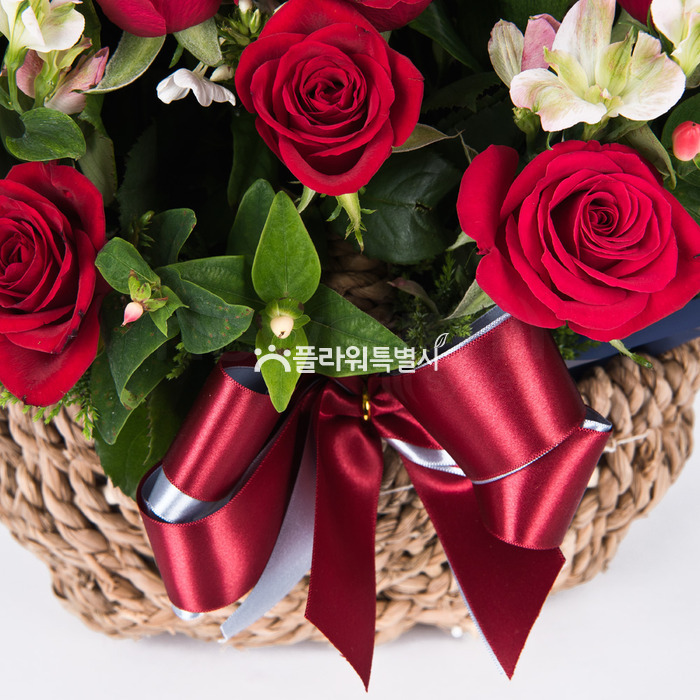 상세이미지