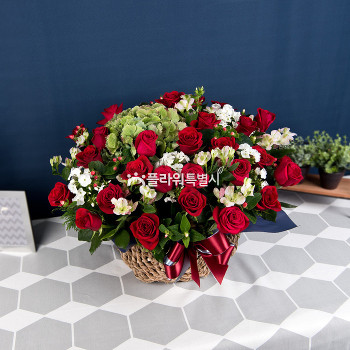 상세이미지