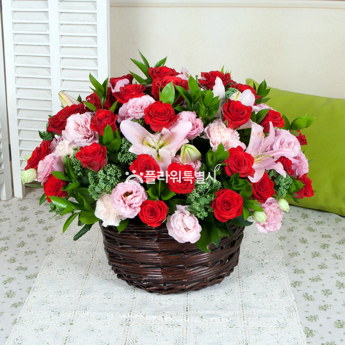 상세이미지