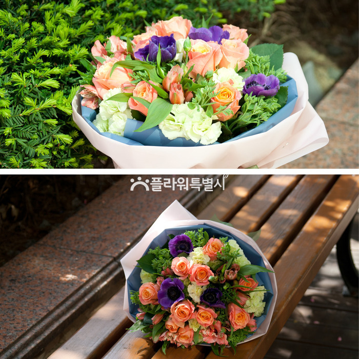 상세이미지