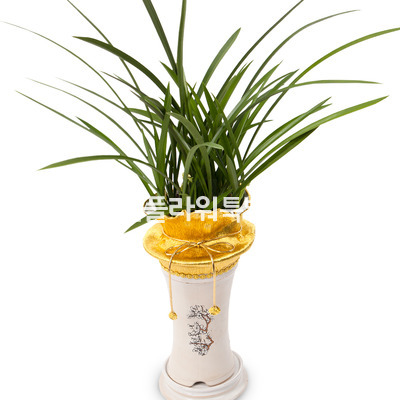철골소심
