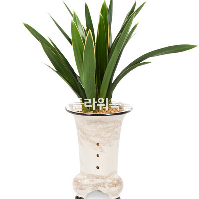 대훈백자분