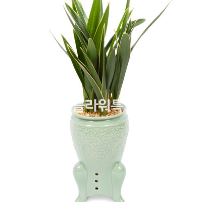 대훈청자분