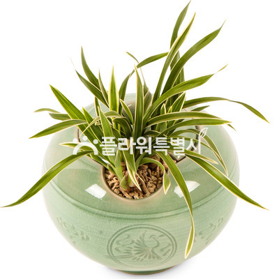 대국항아리도자기