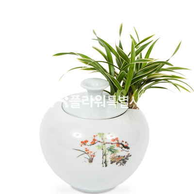대국백도자기분