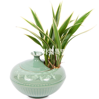 황용금항아리분