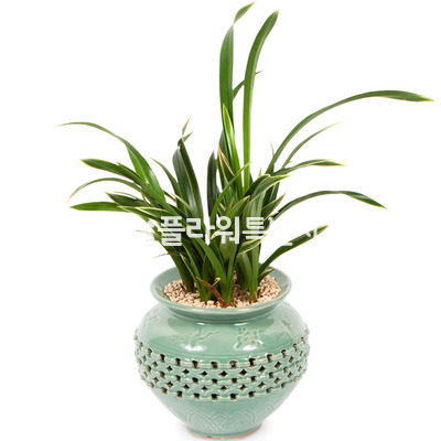 환희2