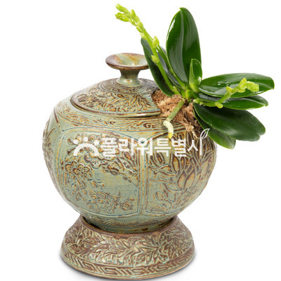 대엽풍란도자기