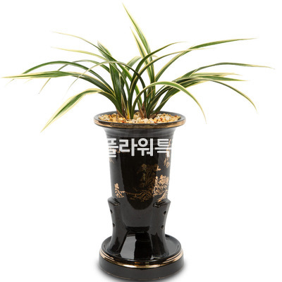 황용금2