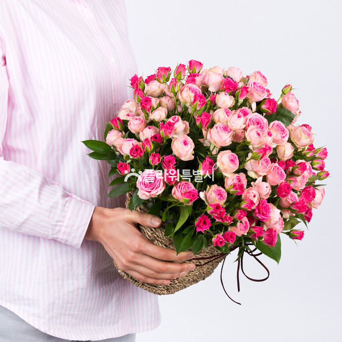 상세이미지