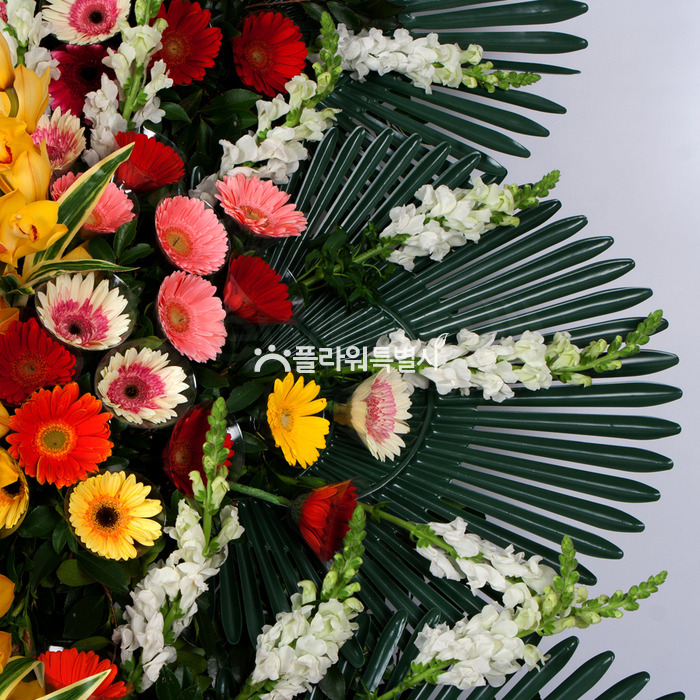 상세이미지