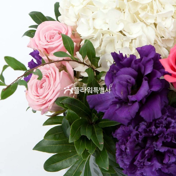 상세이미지