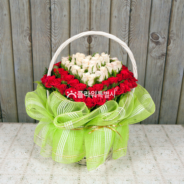 상세이미지