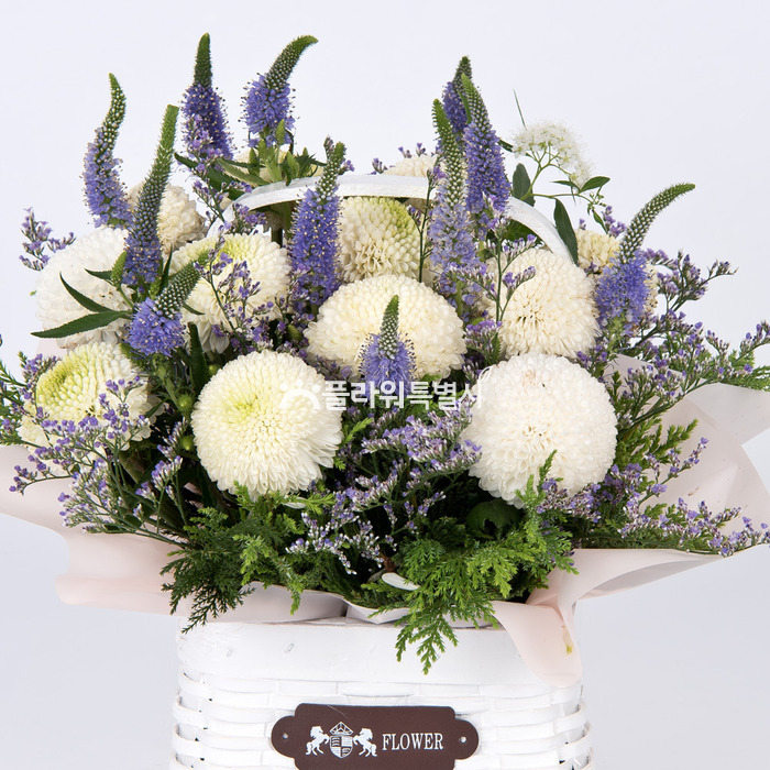 상세이미지