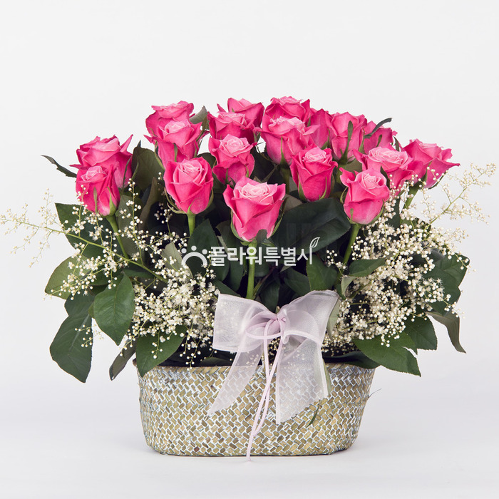 상세이미지