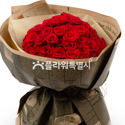 레드홀릭