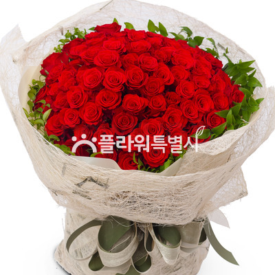 꽃누리(장미50송이)