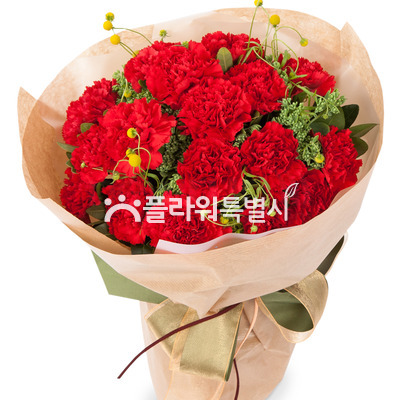 카네이션꽃다발