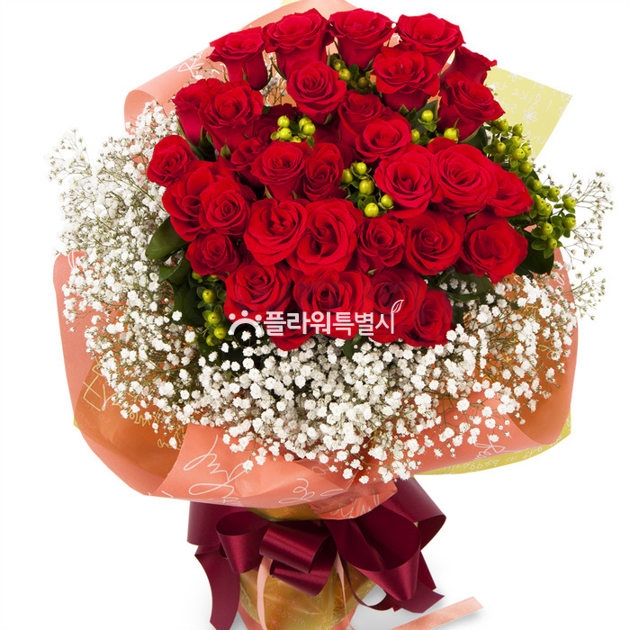 상세이미지