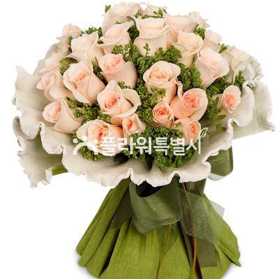 부르트