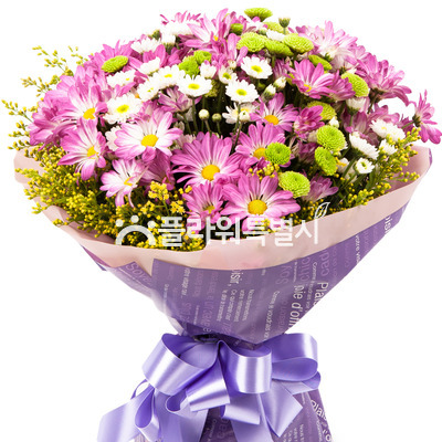 소국꽃다발(105b)
