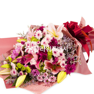 청초한사랑