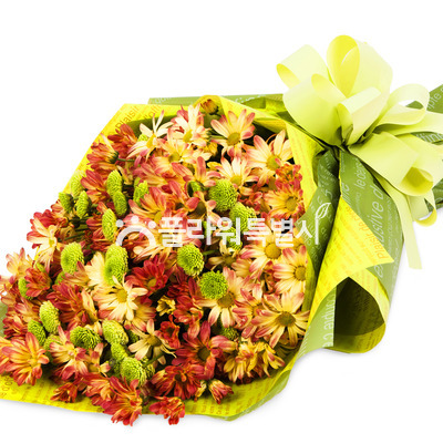 국화다발러브