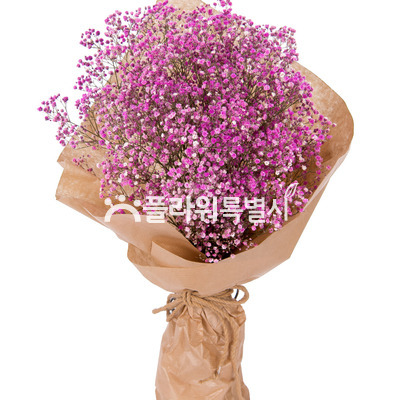 분홍색안개