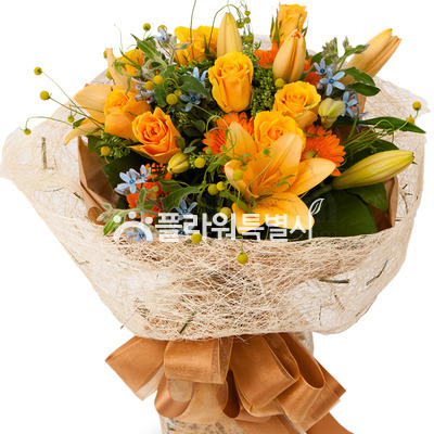신비한사람