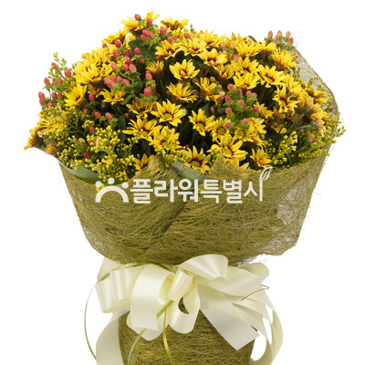 꿀벌의부름