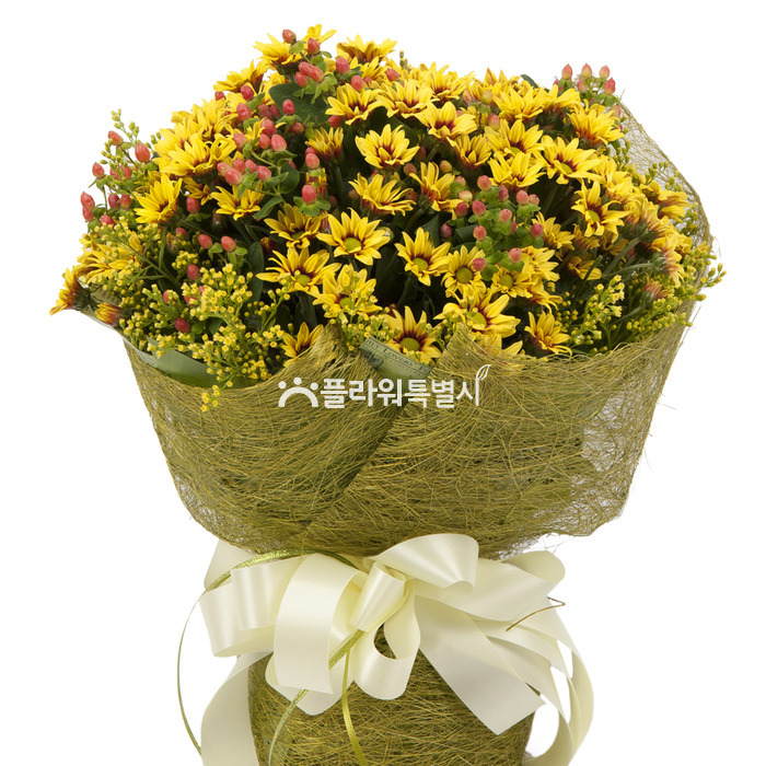 상세이미지